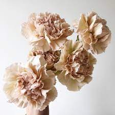 Jumping On The Carnation Love Train B C These Antiqued Varieties Are Too Hard To Resist Beautiful Bouquet Of Flowers Flowers Flowers Bouquet