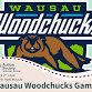 Lakeshore Chinooks at Wausau Woodchucks