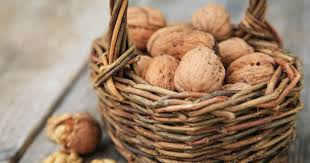 Image result for antraknóza ořešáku