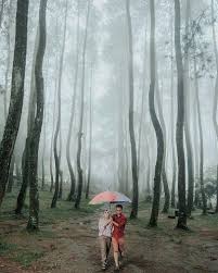 Tempat wisata di kuningan selanjutnya adalah hutan desa setianegara. 10 Tempat Wisata Di Kuningan Terbaru Yang Lagi Hits