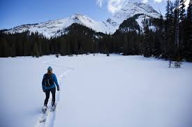 We treat our furry friends like family at the rocky mountain hotel. Alpine Trail Ridge Inn Estes Park Hotels