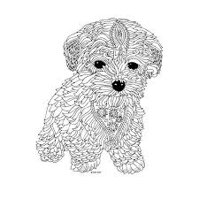Complex zentangle letters for name or initials personalized gift under 10 dollars, pdf. Coloring Pages For Kids Animals Hard Progress Kid