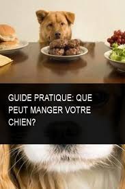 Guide Pratique Que Peut Manger Votre Chien Chien Pratique Mange Manger Guide Food Animals Dog Food Recipes Pets