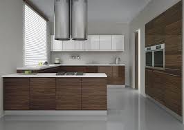 İnsan kaynağı ve kullanılan malzeme; Koyu Zebrano Akrilik Kapakli Ankastre Mutfak Dolabi