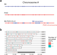 So please help us by uploading 1 new document or like us to download Chromosome Wide Distribution And Characterization Of Intersubspecific Meiotic Noncrossovers In Mice Biorxiv