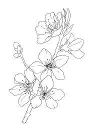 Art Child Blomster Tegning Linoleumstryk Tegning