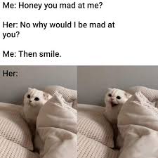 Pin By Khari Lester On Funny Memes Funny Memes Mad Meme Cat Memes