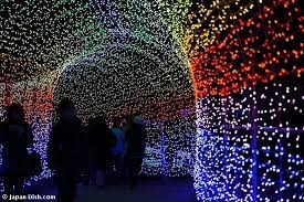 Japan Christmas Lights Japan Dish Christmas Lights Outdoor Christmas Lights Christmas Light Displays