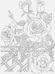 See more ideas about coloring pages, rose coloring pages, coloring books. Pin On Blank Coloring Pages
