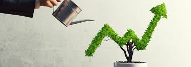 14 Smartest Business Growth Tips