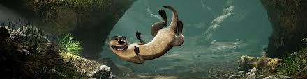 Click and hold on the skull, then drag back and forth to turn the skull from side to side, or up and down to open and close the jaws. Otter Chat An Interactive Animated Show At The St Louis Aquarium
