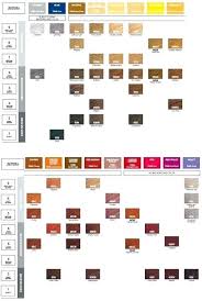 Shades Color Chart Gels Hair Shade Redken Pdf Fusion