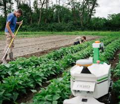 Many of malaysia's largest and most successful companies are palm oil plantation enterprises where the state holds an ownership share. Autonomous Weeding Agricultural Robots
