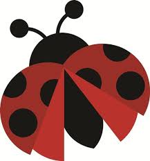 Black And White Ladybug Svg Lady Bug Svg Ladybug Clip Art Cute Clipart