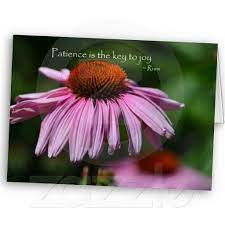 Pin On Cards Invitations Envelopes And Postcards