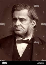 Samuel brighton immagini e fotografie stock ad alta risoluzione