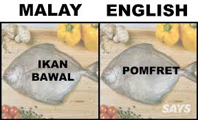 Now you can easily find free png images, free transparent backgrounds, vector images etc. What S Ikan Patin In English Here Are 17 Translations Of Fish Malaysians Love Pomfret Fish Malaysian