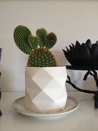 Petit Cache Pot Papier En Pliage Fait Maison Cache Pot Pliage