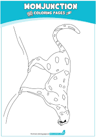 Home animal coloring pages cheetah coloring pages. A Best Cheetah Coloring 16 Coloring Pages Color Mom Junction