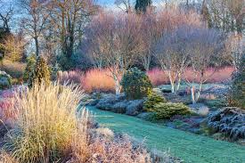 Foggy bottom garden (19.0 km away) bressingham steam museum and gardens (19.4 km away) euston hall garden (20.9 km away) gooderstone water gardens (21.9 km away) oxburgh hall garden (24.0 km away) wyken hall garden (25.7 km away) the plantation garden (26.7 km away). Richard Bloom Garden Photographer S Association