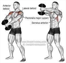 Single Dumbbell Front Hammer Raise An Auxiliary Exercise That Targets Your Ante Auxiliary Dum Schultermuskeln Trainieren Schulter Training Krafttraining