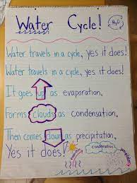 B576a73d4a6d40425e7dbf69b14bcdcd Jpg 1 200 1 600 Pixels Water Cycle 5th Grade Science First Grade Science