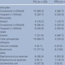 3 what does a perineal urethrostomy involve? Pdf Clinical Outcomes Of 28 Cats 12 24 Months After Urethrostomy