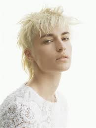 Pin By Riho On Hair Long To Short Hair Grey White Hair Mullet Hairstyle