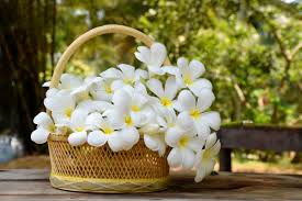 Put together one of these diy care packages or gift baskets for friends or. Simple Get Well Soon Gift Ideas That Will Make Anyone Feel Better