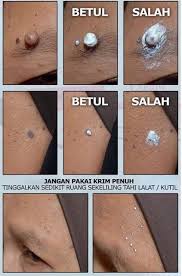 .rjah yang ~ tinggi di sekolah itu ialah darjah sembilan; Buang Isi Ambil Kulit