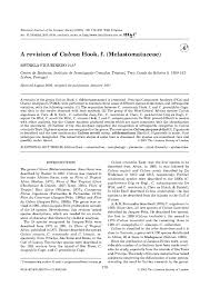 Image result for Calvoa