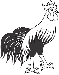 Ya sebenarnya ayam ini termasuk dari jenis burung, namun sayangnya dia tidak. 100 Gambar Ayam Hitam Putih Gambar Pixabay
