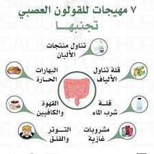 البروتينات النباتية ودورها في تحسين الصحة الغذاء المناهض لتقدم العمر health and nutrition food pictures nutrition tips