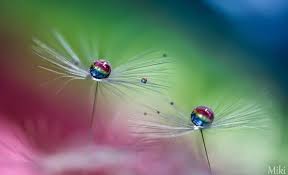 We did not find results for: Pin Di Photography