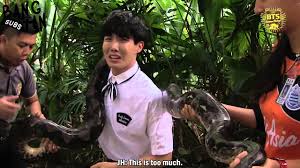 Depending on where you live, not all snakes are dangerous, and some may even be beneficial as they keep pests — like rats, mice and even other snakes — at. 150703 Preview 2015 Summer Vacation Bts Trans Bangtansubs