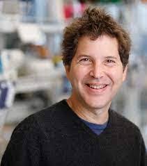 Rosetta David's Instagram, Twitter & Facebook