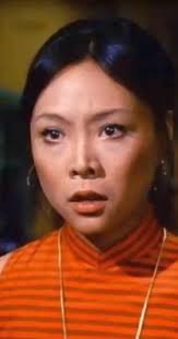 Cannon" Bitter Legion (TV Episode 1972)