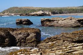 Montana De Oro State Park Tide Pools California Tide Pools