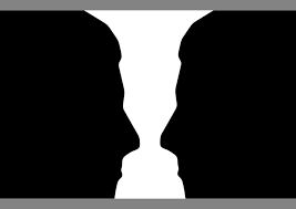 Image result for illusion pictures