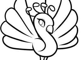 If you're impressed with peacocks, check out coloringpagesonly fun free printable peacock coloring pages for kids. Free Easy To Print Peacock Coloring Pages Tulamama
