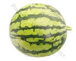 Pisaunya dibeli di thailand, masa lawatan ke sana pada ogos 2013. Buah Tembikai Bulat Elemen Grafik Raw Percuma Muat Turun Pikbest