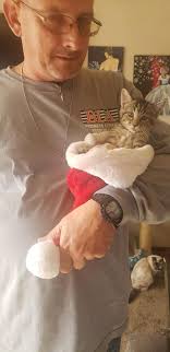 Merry Christmas to all you lovely people and puss cats.xxx