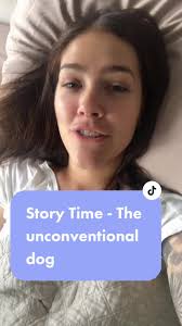 Accountant's Story: The Unconventional Dog