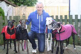 The greyhound board of great britain (gbgb) have introduced measures to locate where racing greyhounds reside after they have retired from racing and from 2017 the retirement data has been available to the public. Norfolk Greyhound Rescue Rescuing Al Hounds