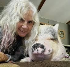 🎉Today, Perry is officially 2 years old. Let's all wish him a Happy