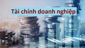 Hướng dẫn soạn thảo Quy chế tài chính của Công ty