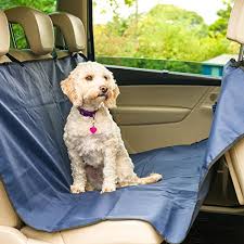We did not find results for: Train My Hound Dog Car Seat Cover Dark Blue And Waterproof Buy Online In Andorra At Andorra Desertcart Com Productid 63367513