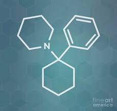 Image result for Phencyclidine