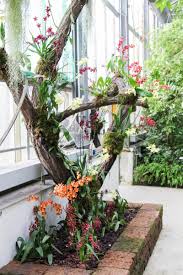 Botanischer garten de botanischer garten. Orchideenschau 2016 Im Botanischen Garten Leipzig Majas Pflanzenwelt
