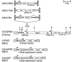 Image result for White 1995 AAV